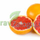 Grejpfrut