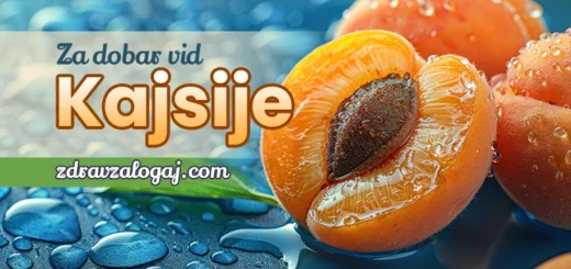 kajsije