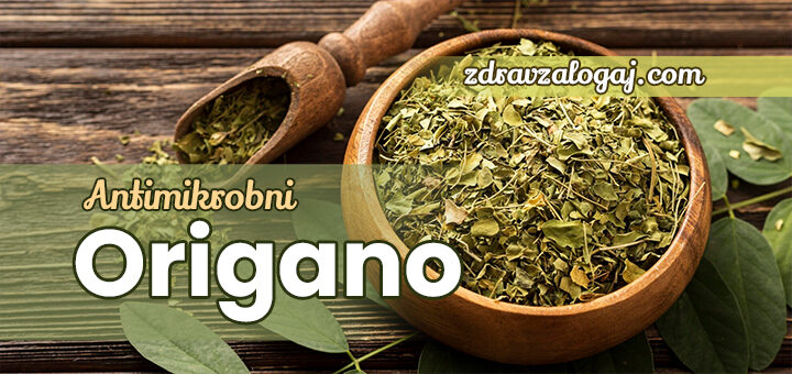 Origano