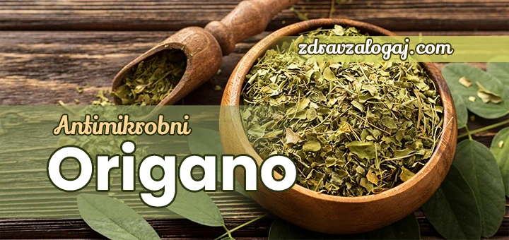 Origano