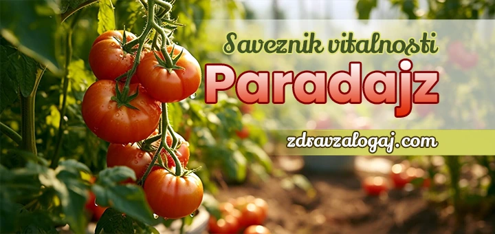 paradajz